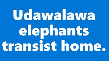Wild Observer  / Udawalawa National Park / Sri Lanka / Elephants / Safari     Photographer - Ashan Dilhara