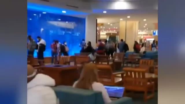 A pesar de la COVID millones de estadounidenses viajan para reunirse a celebrar Acción de Gracias