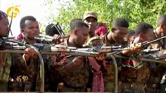 Etiopia: le forze federali hanno lanciato un'offensiva su Macallè, capoluogo del Tigrè