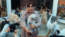 عمانية تحول منزلها مأوى للحيوانات الأليفة