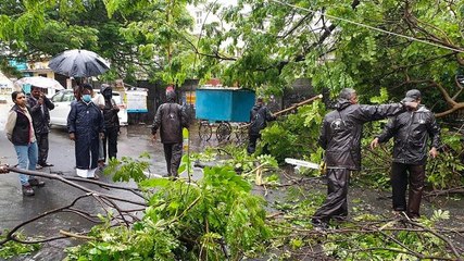 Скачать видео: Cyclone Nivar Aftermath: Ground reports from Chennai, Puducherry, other coastal areas of Tamil Nadu