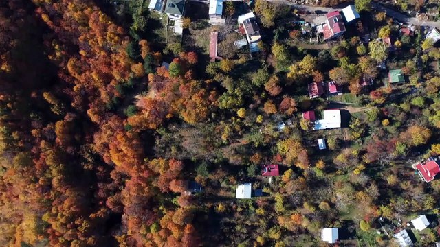 'Çalıkuşu'nun köyünde' sonbahar güzelliği