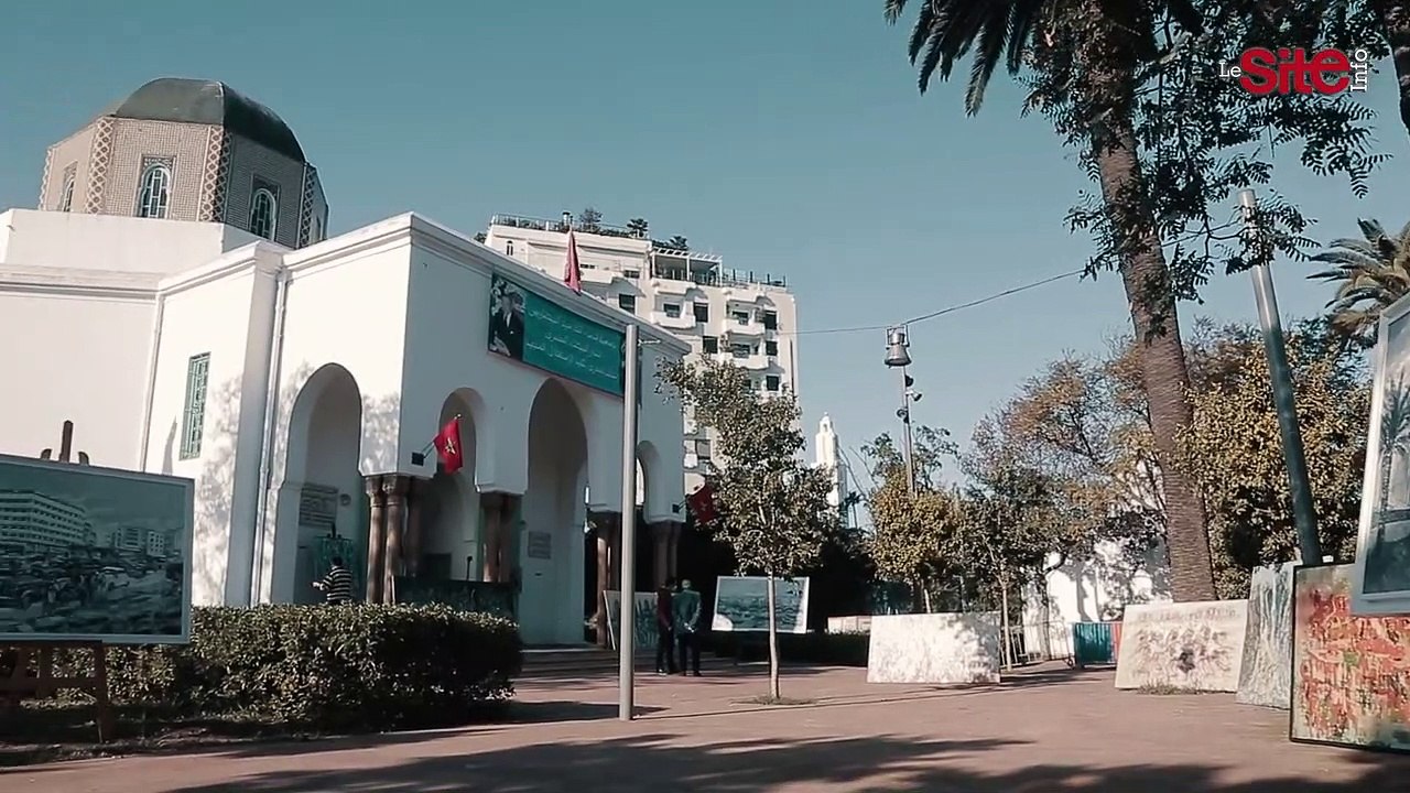 فنينو.. فنان تشكيلي بيضاوي يعشق الفرح والألوان الزاهية ويمقت الحزن والكآبة