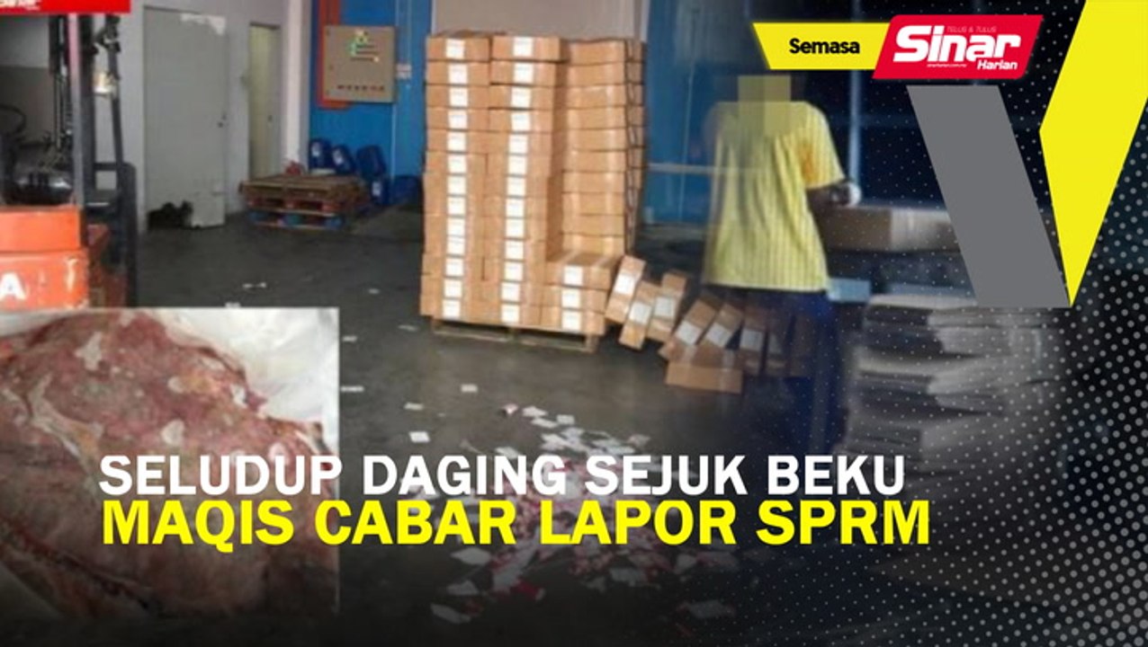 Seludup daging sejuk beku: Maqis cabar lapor SPRM