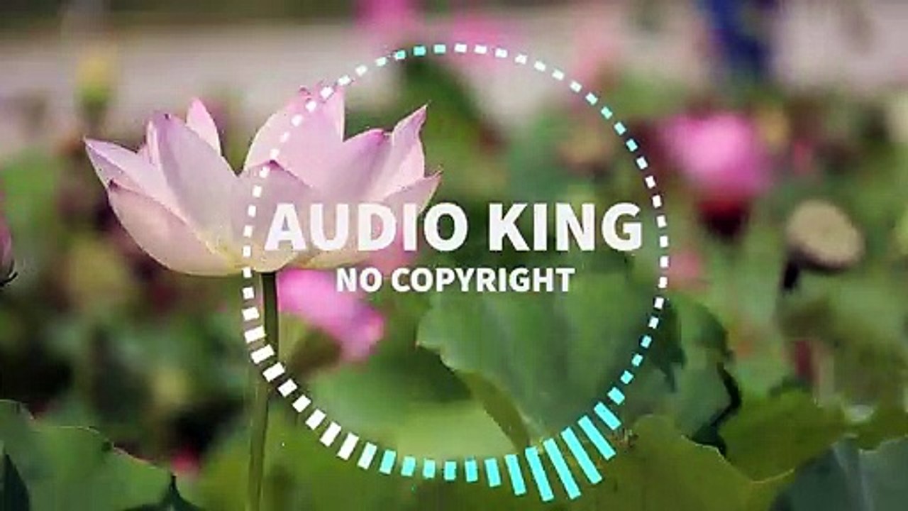 Audio King - Happy Life |Audio King|