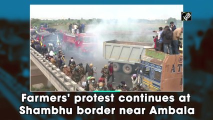 Farmers' protest continues at Shambhu border near Ambala