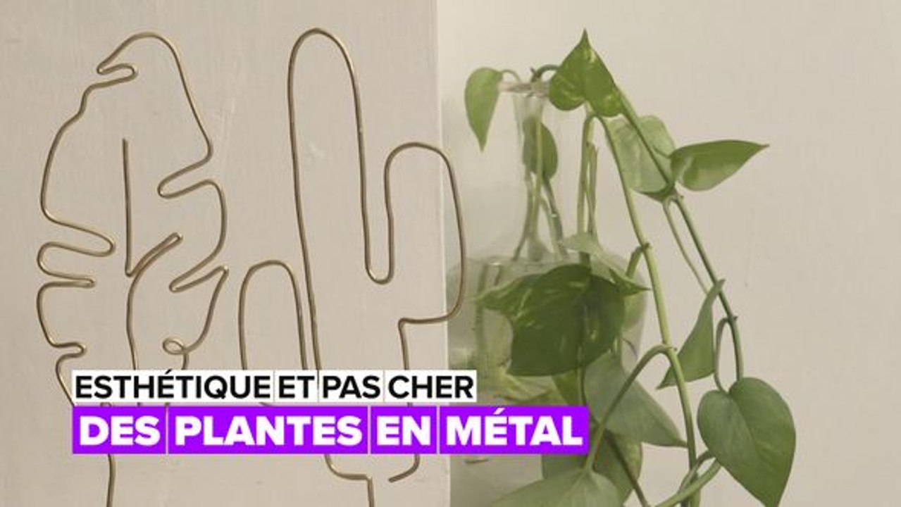 Déco industrielle : la plante en métal