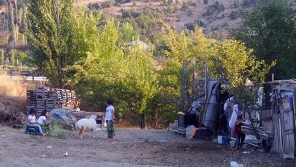 KONYA - Annesi ölen kuzu, evin çocuklarının 'arkadaşı' oldu
