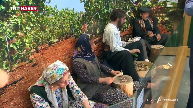 Dünyanın ilk ve tek fıstık müzesi Gaziantep'te