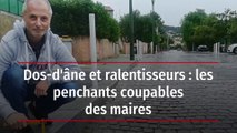 Dos-d'âne et ralentisseurs : les penchants coupables des maires