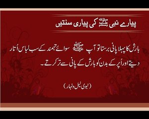 Barish ka Pehla Pani | Sunnat-e-Nabvi | Deen Islam