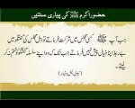 Majlis Me Shirkat | Sunnat-e-Nabvi | Deen Islam