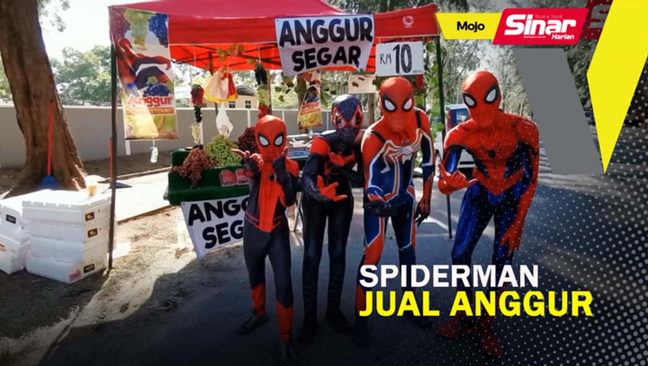 Spiderman jual anggur