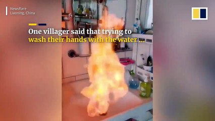 مشهد غريب: صنوبر يخرج النار بدلاً من الماء