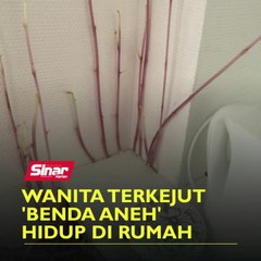 Wanita terkejut 'benda aneh' hidup di rumah