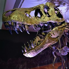 Whatsapp Video 2020-10-08 At 5.45.19 Pm