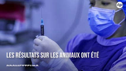 Cancer : Un vaccin expérimental prometteur entre en phase d'essais cliniques