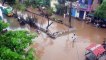 عمليات إجلاء تحول دون وقوع ضحايا جراء إعصار نيفار في الهند