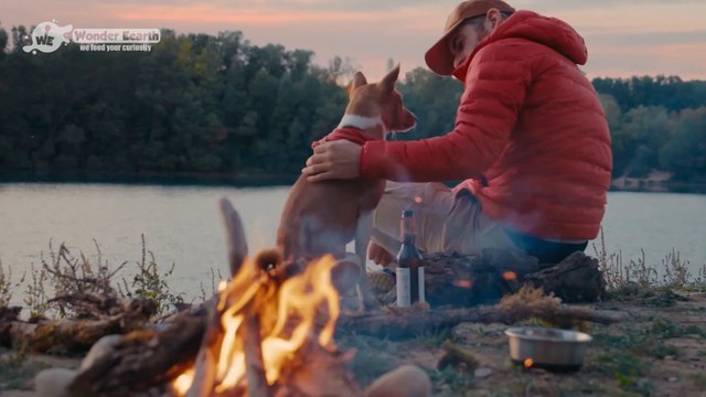 Man Takes His Dog On Final Epic Road Trip After His Dog Was Diagnosed With Cancer