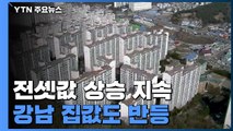 전세대책에도 전셋값 고공행진...강남 집값 반등 / YTN