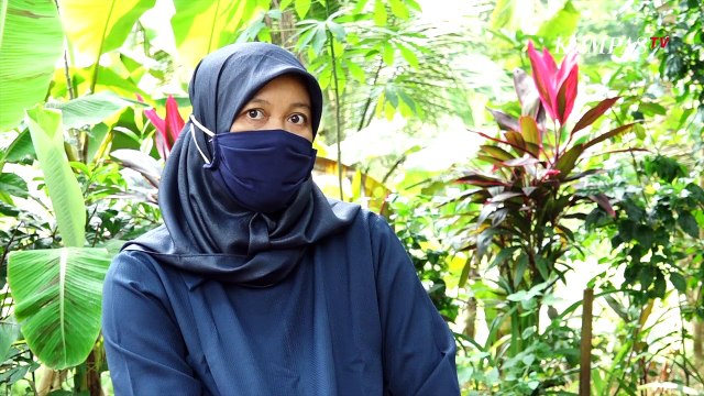 Hampir 2 Tahun, Guru Honorer Menanti SK P3K - BERKAS KOMPAS (Bag 1)