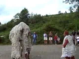 Animaux Etranges