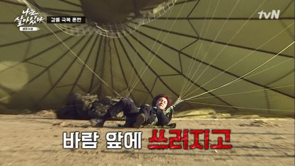 넘어지고, 쓰러지고...가벼운 우기가 버티기엔 버거운 바람...ㅜㅜ