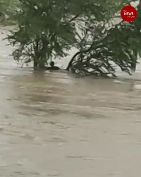 Cyclone Nivar: One man washed away in flood waters in Andhra