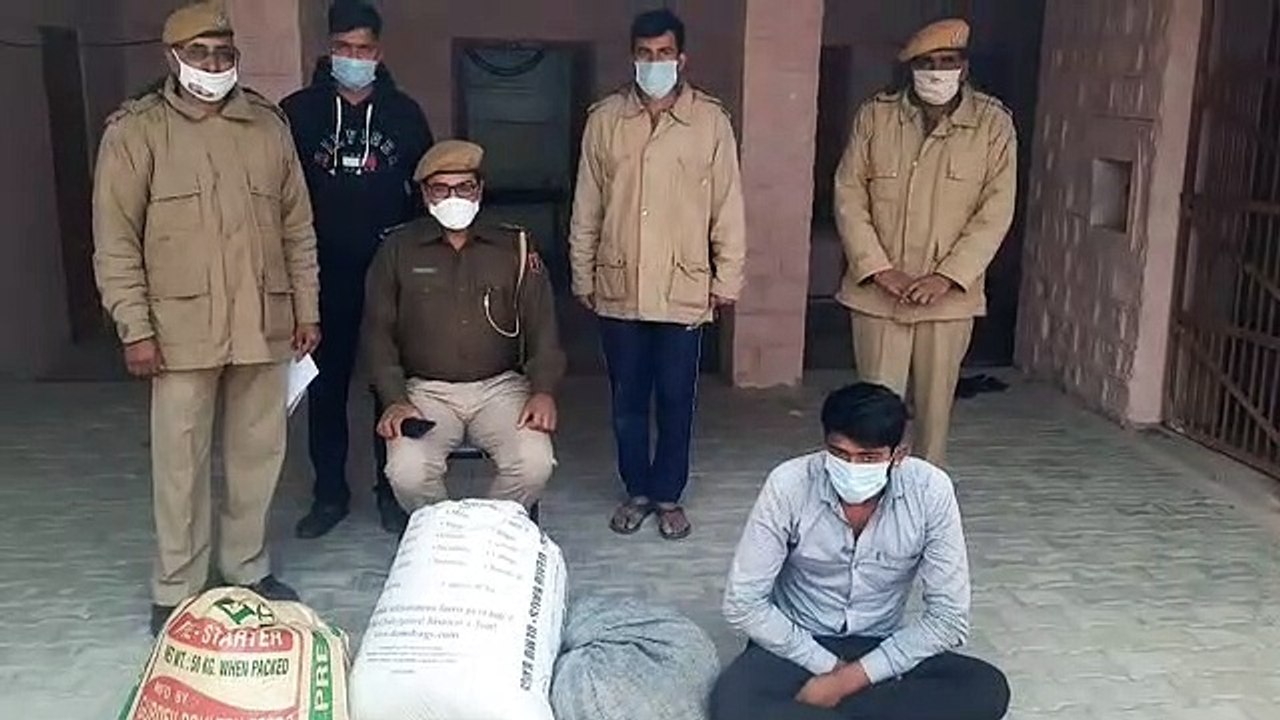 34 किलो डोडा पोस्त जब्त, एक गिरफ्तार