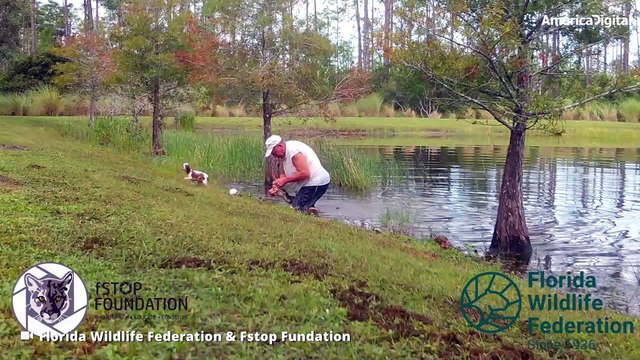 Hombre logró rescatar a su perrito de ser devorado por un caimán