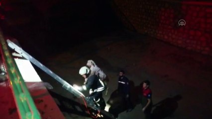 MUĞLA - Kanala düşen keçi kurtarıldı