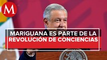 AMLO pide confiar en personas ante aprobación sobre uso de mariguana