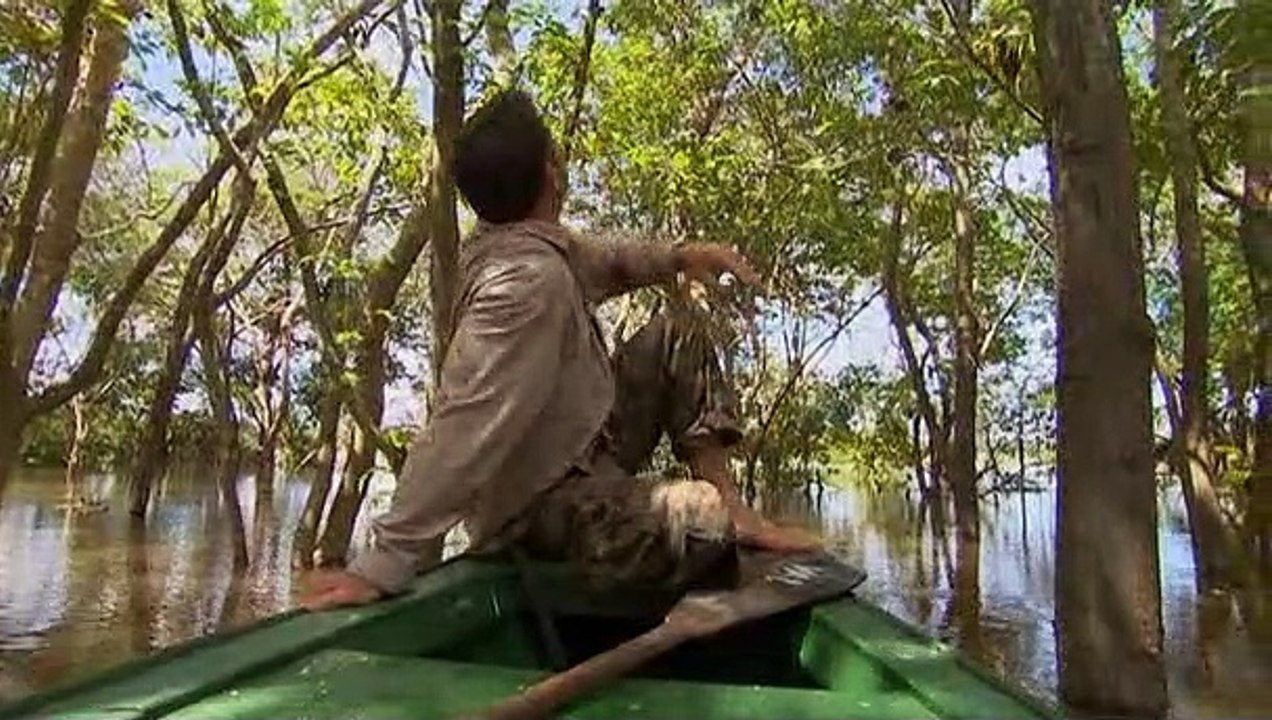Deadly 60 S01E19 Brazil