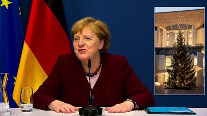 Merkel sucht den Weihnachtsbaum