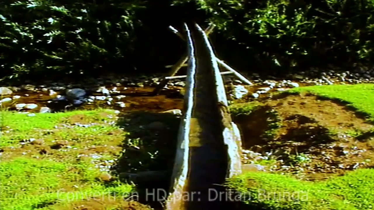Lura 1990