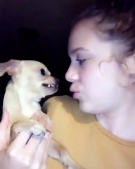 fun fail clips video