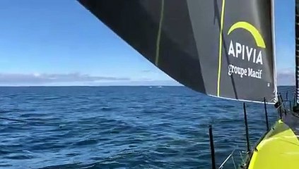 A bord d'Apivia - Jour 18