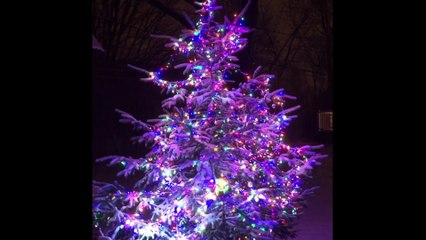 Décorations de Noël