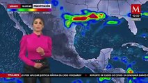 El clima para hoy 26 de noviembre, Pamela Longoria
