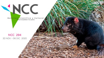 Noticiero Científico y Cultural Iberoamericano, emisión 294. 30 de Noviembre al 06 de Diciembre 2020
