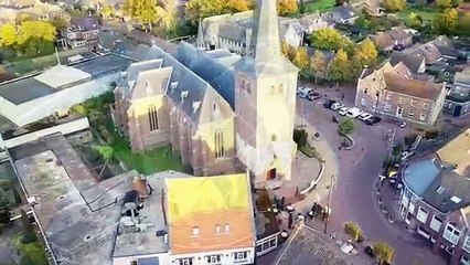 BIO CHICKEN PROTEINS Nov. 2020