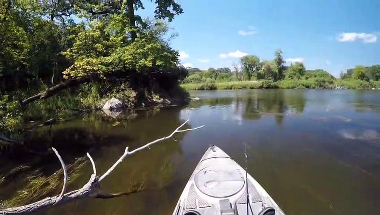 The River Offered Me Some Catfish