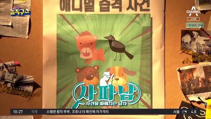 [사파남]‘골프장에 소 떼 난입’…피해 보상 가능성은?