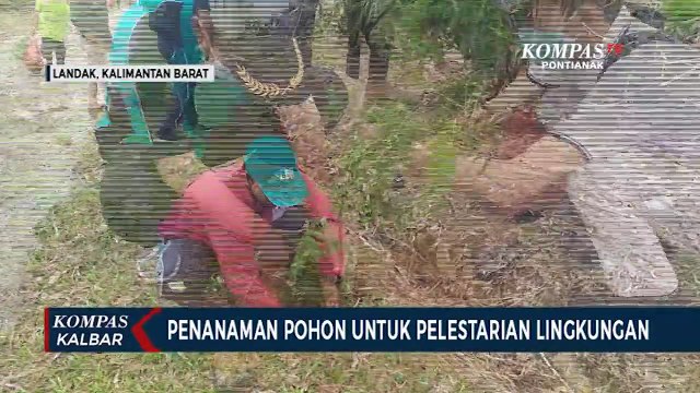 Hari Pohon Sedunia, Penanaman Pohon Dilakukan di Kabupaten Landak dan Kota Pontianak