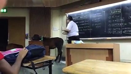 Strange new student in IIT Bombay