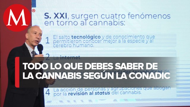 Cannabis medicinal: Todo lo que debes saber sobre su uso en la historia