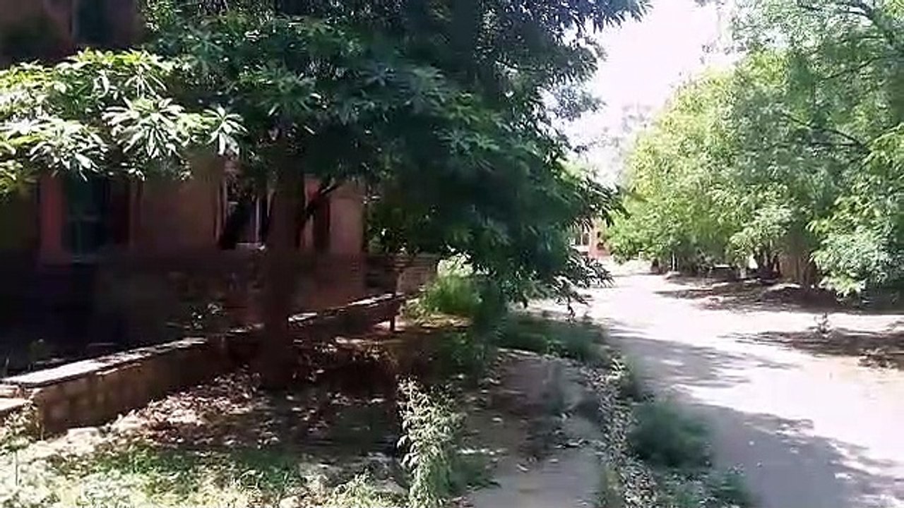 MDSU:उटडेट हुए उपकरण, इनसे कराते 21 वीं सदी की पढ़ाई...