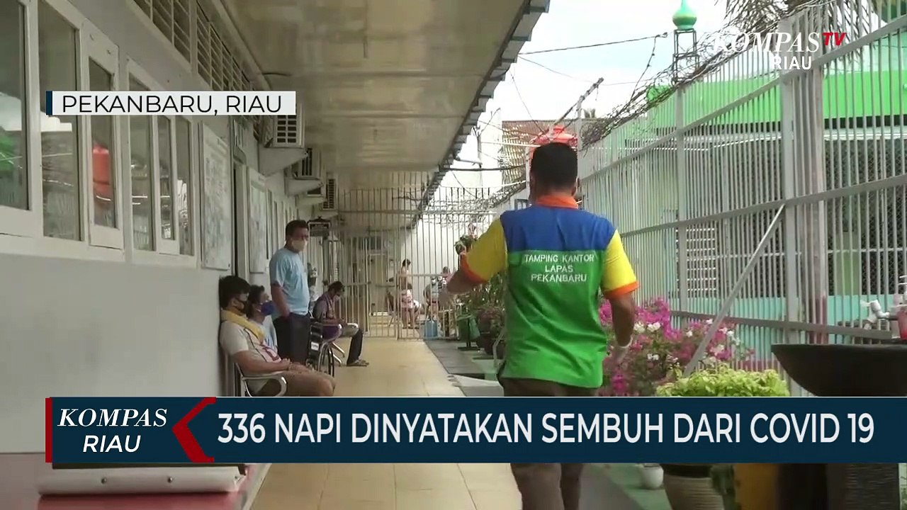 336 Napi Dinyatakan Sembuh Dari Covid 19