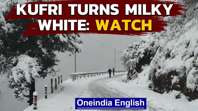 Kufri gets covered in a blanket of snow, snow lovers take delight: Watch the video | Oneindia News