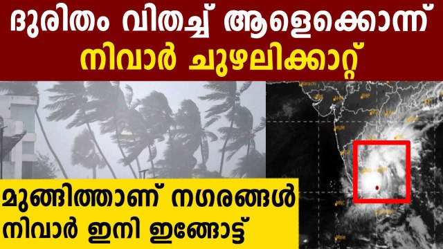 Nivar Cyclone has made some damage to To Tamil Nadu Oneindia Malayalam